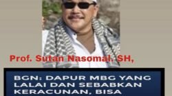 Prof Sutan Nasomal Negara Dan Presiden RI Tidak Boleh Lengah Pengawasan Karena Keracunan Makanan Makin Mengganggu Pisikis Anak Sekolah